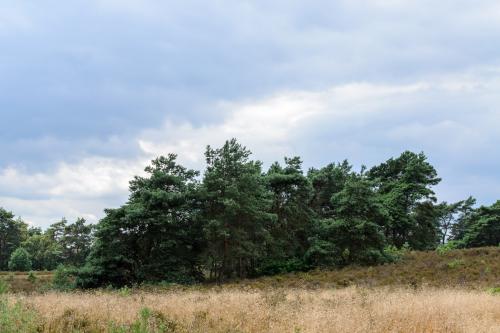 Fotonummer: 1093
