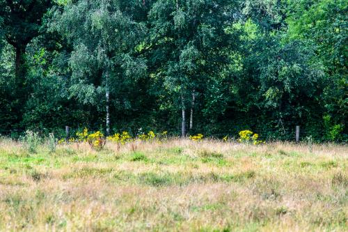 Fotonummer: 1232