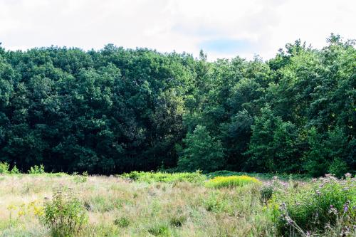 Fotonummer: 1233