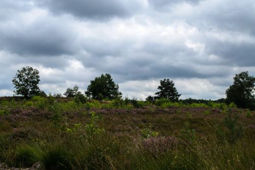 Fotonummer: 1306