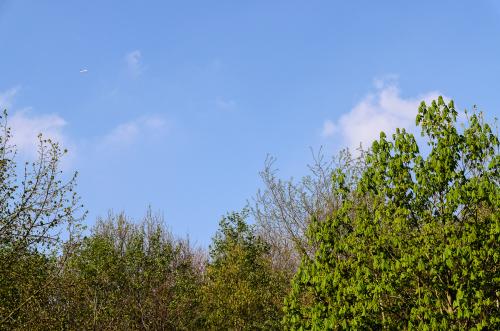 Fotonummer: 4301