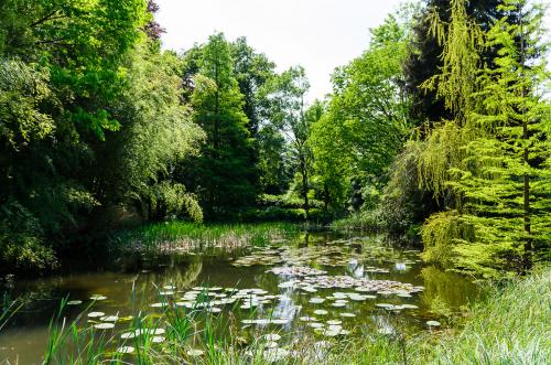 Fotonummer: 4420