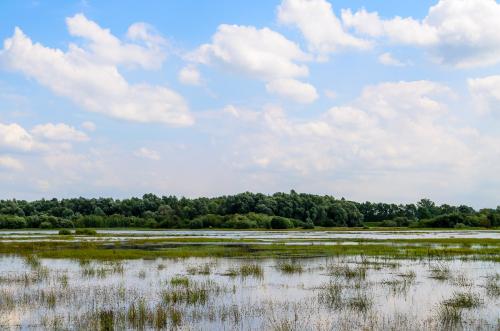 Fotonummer: 4560