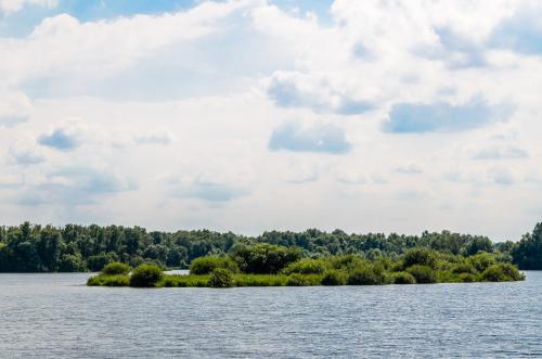 Fotonummer: 4565