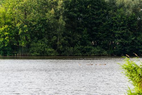 Fotonummer: 4582