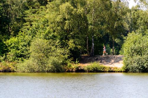 Fotonummer: 4547