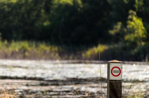Fotonummer: 4587
