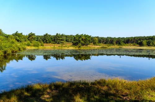 Fotonummer: 4590