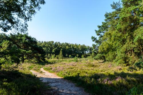 Fotonummer: 4589