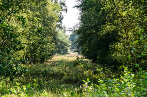 Fotonummer: 4591