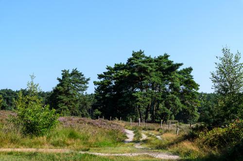 Fotonummer: 4584