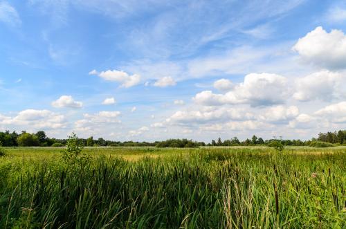 Fotonummer: 4558