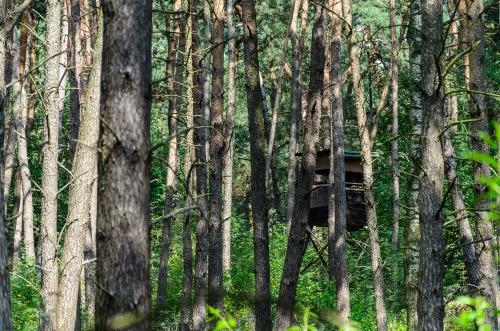 Fotonummer: 4615