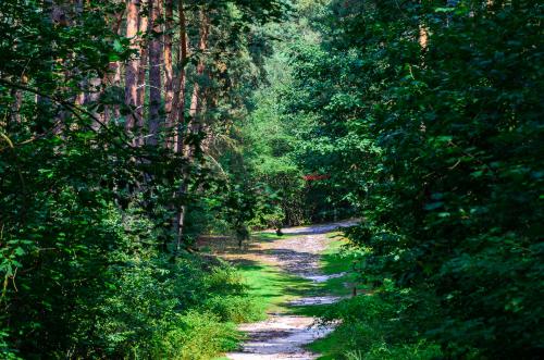 Fotonummer: 4621