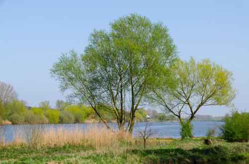 Fotonummer: 4870